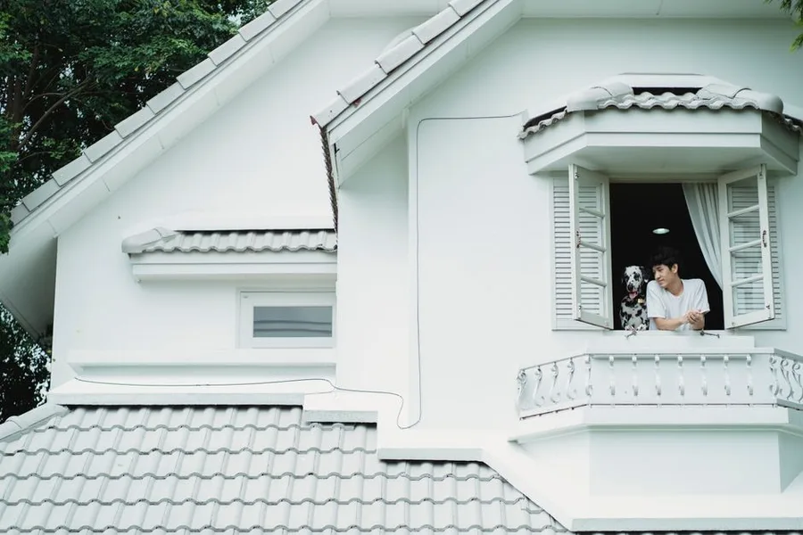 Trusted Housesitters Review: Connect with verified house sitters for mutual pet care and free accommodation
